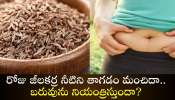 Cumin Water Facts: రోజు జీలకర్ర నీటిని తాగడం మంచిదా.. బరువును నియంత్రిస్తుందా?