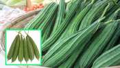 Ridge Gourd: బీరకాయ తినడం వల్ల ఎన్ని ఉపయోగాలు  ఉన్నాయో తెలుసా ...