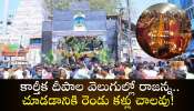  Karthika Masam 2024: కార్తీక దీపాల వెలుగుల్లో రాజన్న.. చూడడానికి రెండు కళ్లు చాలవు!