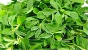 Fenugreek Leaves: మెంతికూర వారంలో రెండు సార్లు తింటే ఏమౌతుందో తెలుసా