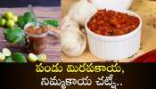 Pandu Mirchi Lemon Chutney: పండు మిరపకాయ, నిమ్మకాయ చట్నీ.. పైనుంచి నెయ్యి వేసుకొని తింటే రుచి వేరే లెవెల్..