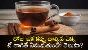 Cinnamon Tea: రోజు ఒక కప్పు దాల్చిన చెక్క టీ తాగితే ఏమవుతుందో తెలుసా? ఇవి తెలిస్తే షాక్ అవుతారు..