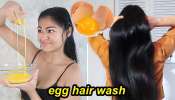 Egg Masks For Hair: 5 నిమిషాలు ఇలా చేస్తే చాలు మీ జుట్టు వద్దన్నా ఎంత ఒత్తుగా, నలుపుగా మారడం ఖాయం..!