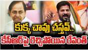 Revanth Reddy Vs KCR: కుక్క చావు చస్తవ్.. కేసీఆర్ పై రెచ్చిపోయిన రేవంత్ రెడ్డి.. 