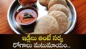 Jonna Pindi Idli: ఈ ఇడ్లీలు తింటే సర్వ రోగాలు మటుమాయం.. మీ ఆరోగ్యం కోసమే ఈ రెసిపీ..