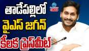 YS Jagan: చంద్రబాబుకు దమ్ముంటే నన్ను ఎమ్మెల్యేగా తొలగించాలి: వైఎస్ జగన్