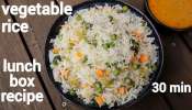 Mixed Vegetable Rice: 10 నిమిషాల్లో పిల్లలకు రుచికరమైన లంచ్ బాక్స్