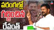 Revanth Reddy VS KCR: కేసీఆర్ కాస్కో.. నిన్ను మళ్లీ గడ్డమీద మొలవనివ్వ.. కాక రేపుతున్న సీఎం రేవంత్ వ్యాఖ్యలు.. వీడియో ఇదే..