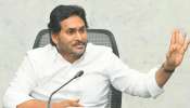 Ys Jagan Comments: నా చెల్లెలు, తల్లిపై బాలకృష్ణ, చంద్రబాబులు తప్పుడు ప్రచారం చేయించలేదా