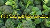 Broccoli Protein Magic: వారంలో బ్రకోలీ ఒక్కసారైనా తింటే.. 100 ఏళ్లు బ్రతకడం ఖాయం!