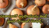 Raw Onion Benefits: చలికాలంలో ఉల్లిపాయలను తింటే.. మైండ్‌ బ్లోయింగ్ బెనిఫిట్స్!