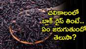 Black Rice Benefits: చలికాలంలో బ్లాక్ రైస్‌ తింటే.. ఏం జరుగుతుందో తెలుసా?