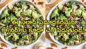 Broccoli Salad Recipe: ఈ సలాడ్‌ ప్రమాదకరమైన క్యానర్స్‌కు కూడా చెక్‌ పెడుతుంది!