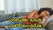 Afternoon Sleep Magic: పగటిపూట కునుకు ఒంటికి మంచిదేనా? ఇవి తెలిస్తే ఆశ్చర్యపోతారు.. 