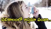 Asthma Winter Tips: చలికాలంలో ఆస్తమా పంజా.. ఇప్పటికే ఉన్నవారు ఇవి తప్పనిసరి..