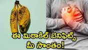 Overripe Bananas: బాగా పండిన అరటి పండ్లు తింటే.. ఈ మిరాకిల్ బెనిఫిట్స్‌ మీ సొంతం!