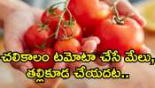 Tomato Benefits: చలికాలం టమోటా చేసే మేలు.. తల్లికూడ చేయదట..