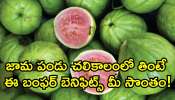 Guava Benefits: జామ పండు చలికాలంలో తింటే ఈ బంఫర్‌ బెనిఫిట్స్‌ మీ సొంతం!