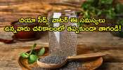 Chia Seeds Benefits: చియా సీడ్స్‌ వాటర్‌ ఈ సమస్యలు ఉన్నవారు చలికాలంలో తప్పకుండా తాగండి!