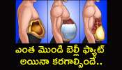 Belly Fat: ఒక గ్లాసు నీటిలో ఇవి కలుపుకొని తాగితే.. ఎంత మొండి బెల్లీ ఫ్యాట్ అయినా కరగాల్సిందే..