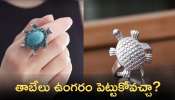 Tortoise Ring Rules: తాబేలు ఉంగరం పెట్టుకోవచ్చా.? ఏ రాశి వారు ధరిస్తే రాజయోగం పడుతుంది..?