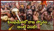 Kumbh Mela 2025: కుంభమేళలో రాజ స్నానం అంటే ఏంటి? ఏ సమయంలో ఇది చేయాలి.. ఎలా చేయాలి?