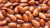 Almonds Benefits: బాదం తినడంలో ఈ పొరపాట్లు చేస్తే అంతే సంగతులు, ఎలా తింటే మంచిది