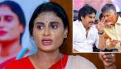 YS Sharmila: చేతకాని చంద్రబాబు, పవన్‌ కల్యాణ్‌ ఎన్డీయే నుంచి బయటకు రావాలి.. వైఎస్‌ షర్మిల సంచలన డిమాండ్‌