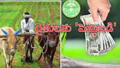 Rythu Bharosa: సంక్రాంతికి తెలంగాణ రైతులకు పండుగ.. 14 నుంచి బ్యాంకు ఖాతాల్లోకి రూ.15 వేలు