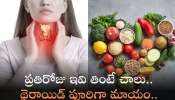 Hypothyroidism: ప్రతిరోజు ఇవి తింటే చాలు.. థైరాయిడ్‌ పూరిగా మాయం..!