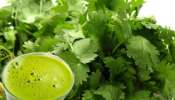 Coriander Juice: కొత్తిమీర జ్యూస్‌ ఇలా చేసి తాగుతే అన్ని రకాల సమస్యలు మటుమాయం..