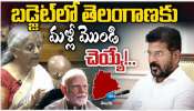 Union Budget: కేంద్ర బడ్జెట్‌లో తెలంగాణకు తీవ్ర అన్యాయం.. దక్కిన నిధులు ఎన్ని అంటే?