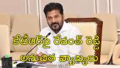 Revanth Reddy: దేశంలోనే తొలిసారి తెలంగాణలో కులగణన చేసి చరిత్ర సృష్టించాం