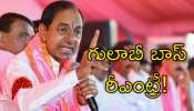 Back To KCR: బీఆర్‌ఎస్‌ పార్టీ @ 25 ఏళ్లు.. 19న మాజీ సీఎం కేసీఆర్‌ సంచలన నిర్ణయం?