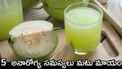 Guava Leaves Juice Benefits: ఈ ఆకు రసం తాగితే.. 5	 అనారోగ్య సమస్యలు మటు మాయం!