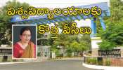 VCs Appointments: ఏపీ గవర్నర్‌ కీలక నిర్ణయం.. 9 విశ్వవిద్యాలయాలకు వీసీల నియామకం