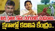 Mirchi Crop: మాజీ సీఎం జగన్‌ దెబ్బకు దిగివచ్చిన కేంద్ర ప్రభుత్వం.. మిర్చి రైతులకు భారీ గుడ్‌న్యూస్‌