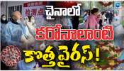 China Virus: చైనాలో కరోనా లాంటి కొత్త వైరస్.. 