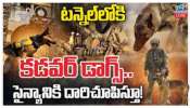 SLBC: టన్నెల్‌లో చిక్కుకున్న కార్మికులను గుర్తించనున్న కడవర్‌ డాగ్స్‌..