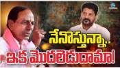Ex CM KCR: బడ్జెట్ సమావేశాలకు గులాబీ బాస్.. అసెంబ్లీ దద్దరిల్లడం ఖాయమా..?