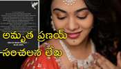 Amrutha Pranay: భర్త హత్య కేసు తీర్పుపై నోరు విప్పిన అమృత ప్రణయ్‌.. &#039;అర్థం చేసుకోండి&#039;