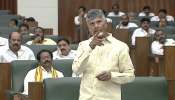 Chandrababu: ఆ ఎన్నికల్లో ఓటమికి నేనే కారణం, లేనిపోని రాజకీయాలు చేయొద్దు
