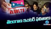 Telangana Inter Results 2025: తెలంగాణ ఇంటర్‌ రిజల్ట్స్‌పై బిగ్‌ అప్‌డేట్.. ఈ లింక్‌పై క్లిక్ చేసి సింపుల్‌గా తెలుసుకోండి