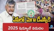 AP Mega DSC 2025: నేడే మెగా డీఎస్సీ.. 16,347 పోస్టులు, సబ్జెక్టుల వారీ ఖాళీల షెడ్యూల్‌ ఇలా..!