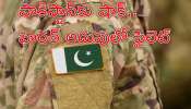 India Pakistan War: బిగ్ బ్రేకింగ్‌.. భారత ఆర్మీ అదుపులో పాకిస్థాన్‌ పైలెట్‌