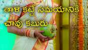 Wedding Postpone: పెళ్లి టైమ్‌కే ఇంట్లో వరుస చావులు.. ఇక పెళ్లి కాదని వధువు ఆత్మహత్య