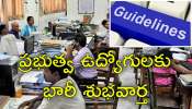 Govt Employees: ప్రభుత్వ ఉద్యోగులకు జాక్‌పాట్.. బదిలీల మార్గదర్శకాలు విడుదల