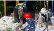 Huge Cobra Worship Video: శివలింగానికి పూజలు చేసిన భారీ నాగుపాము.. ఇదిగో సాక్ష్యం ఇదే..