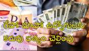 Dearness Allowance: ప్రభుత్వ ఉద్యోగులకు భారీ శుభవార్త.. 25 శాతం డీఏ విడుదల