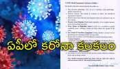 Covid 19 Guidelines: ఆంధ్రప్రదేశ్‌లో కరోనా కలకలం.. ప్రజలు ఈ జాగ్రత్తలు పాటించాలి